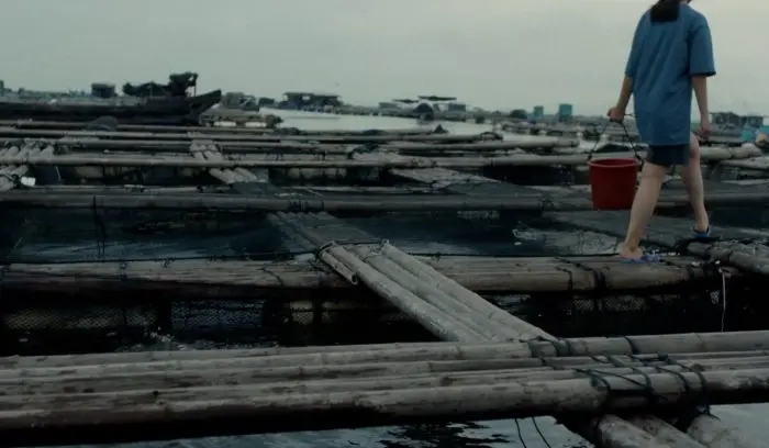 『海在我們周囲』／The Sea Is All About Us